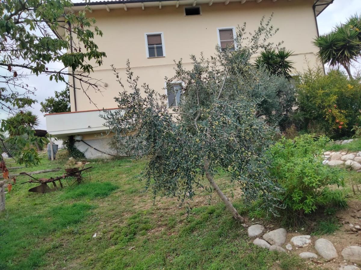 Casa Il Canto 托尔托雷托 外观 照片